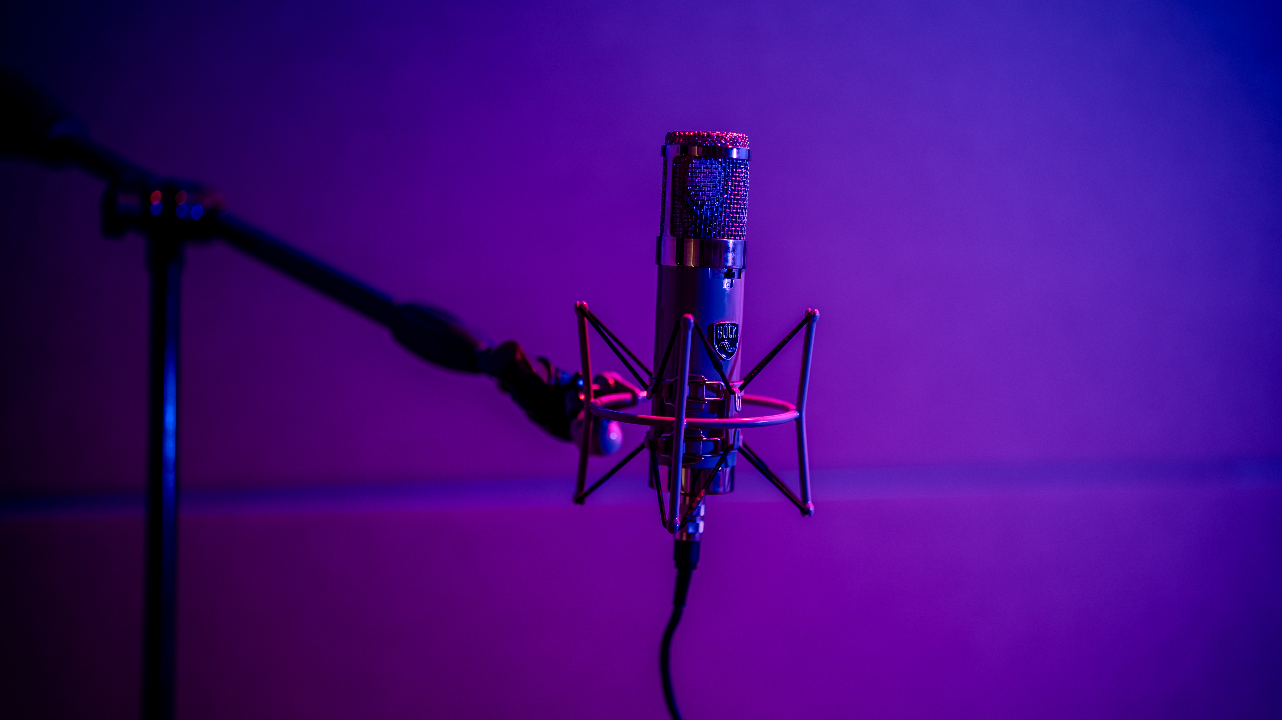 Bock Audio microphone ready for a recording session