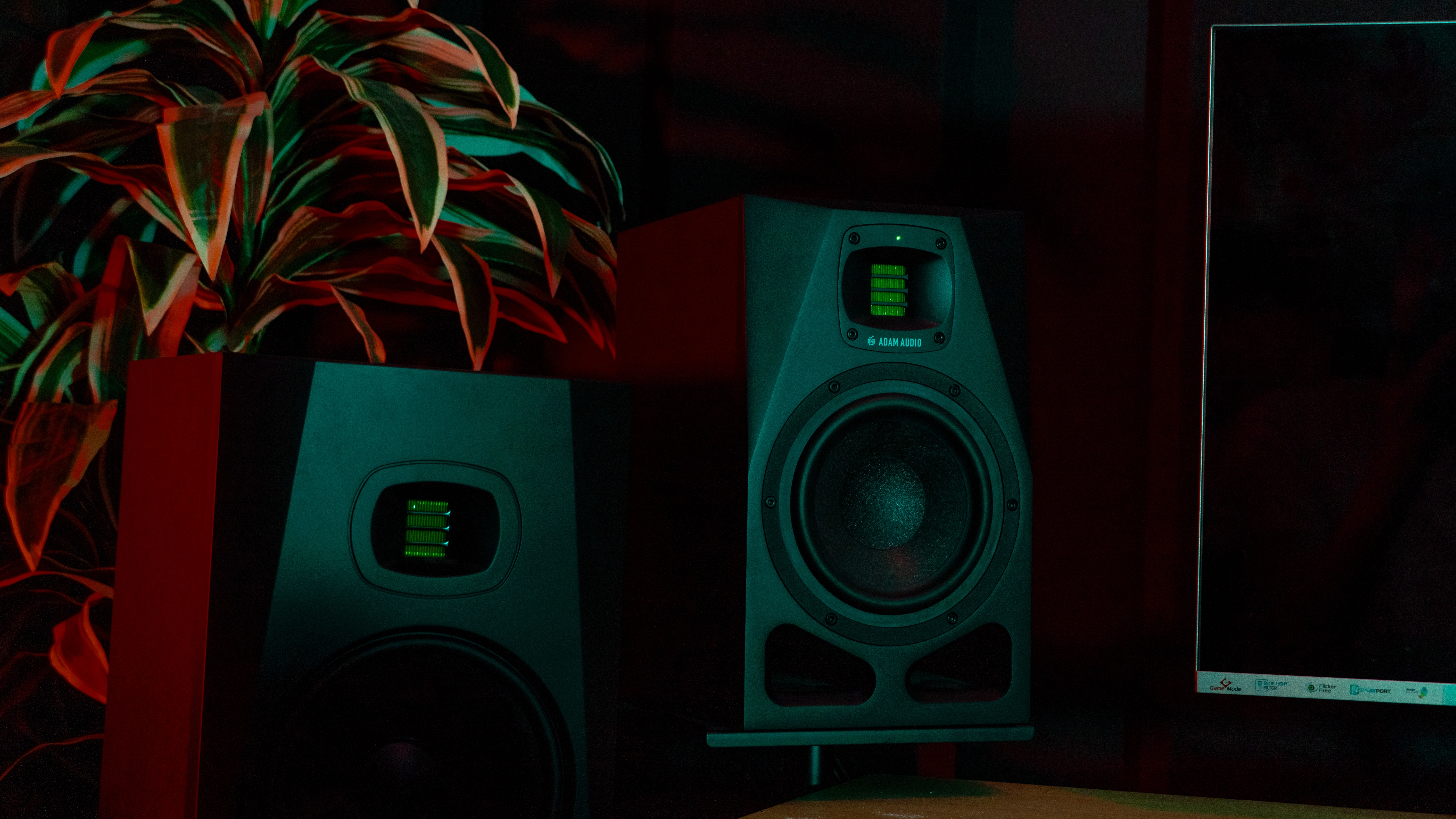 A Beginner's Guide to Acoustic Treatment: Why Your Room Is the Most Important Instrument