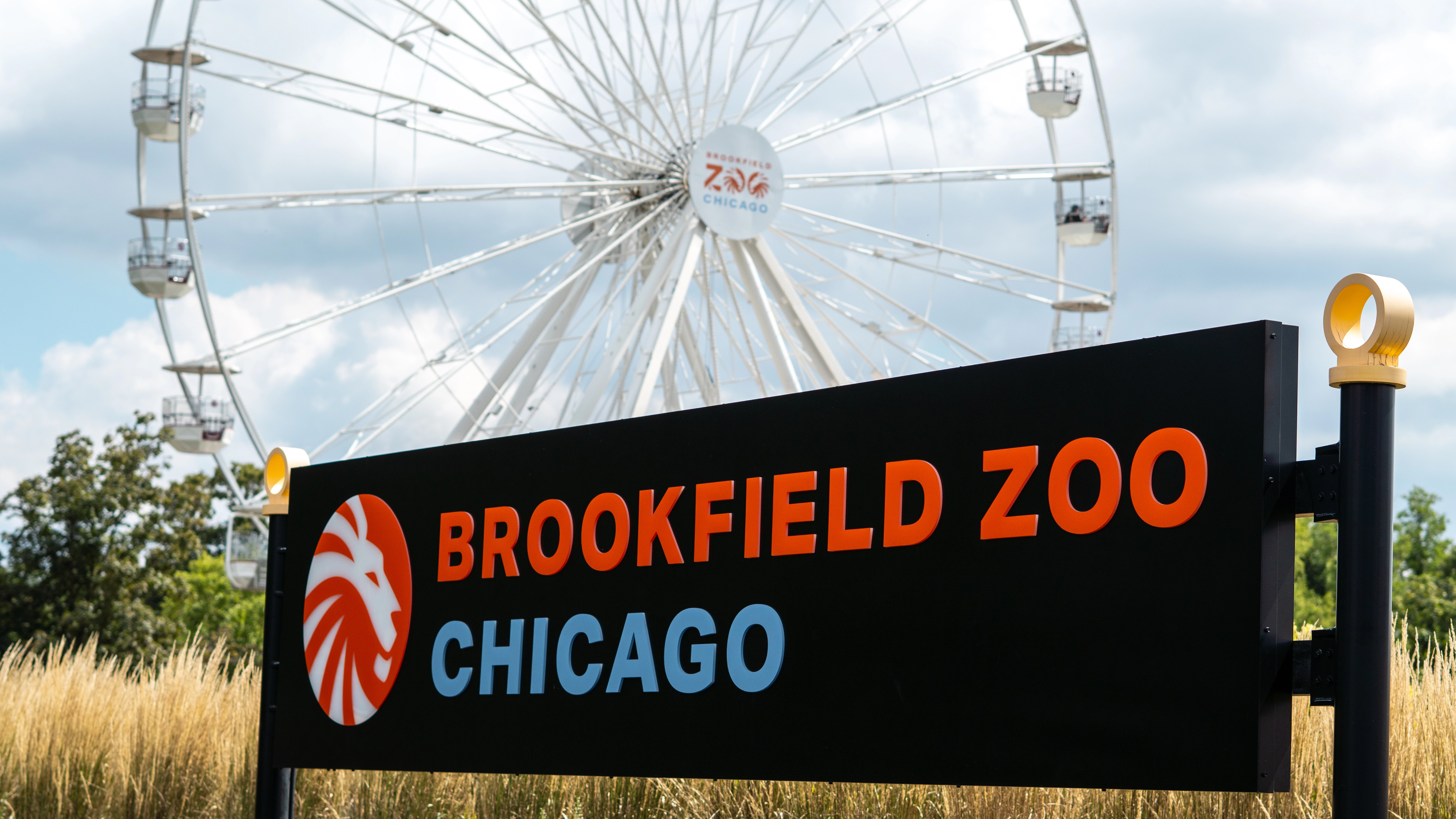 BROOKFIELD ZOO FERRIS WHEEL COMMERCIAL - Photo 2