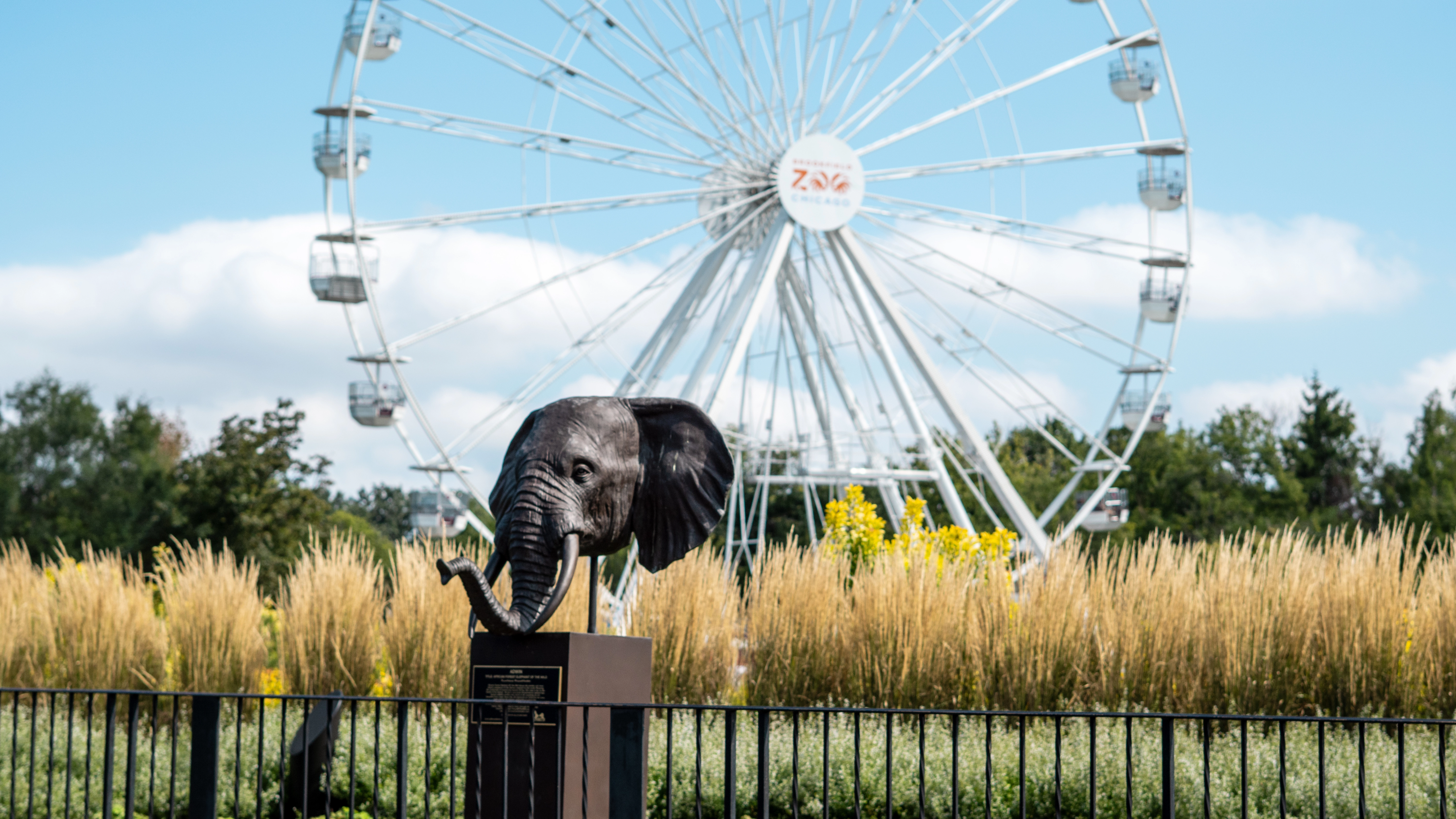 BROOKFIELD ZOO FERRIS WHEEL COMMERCIAL - Photo 3