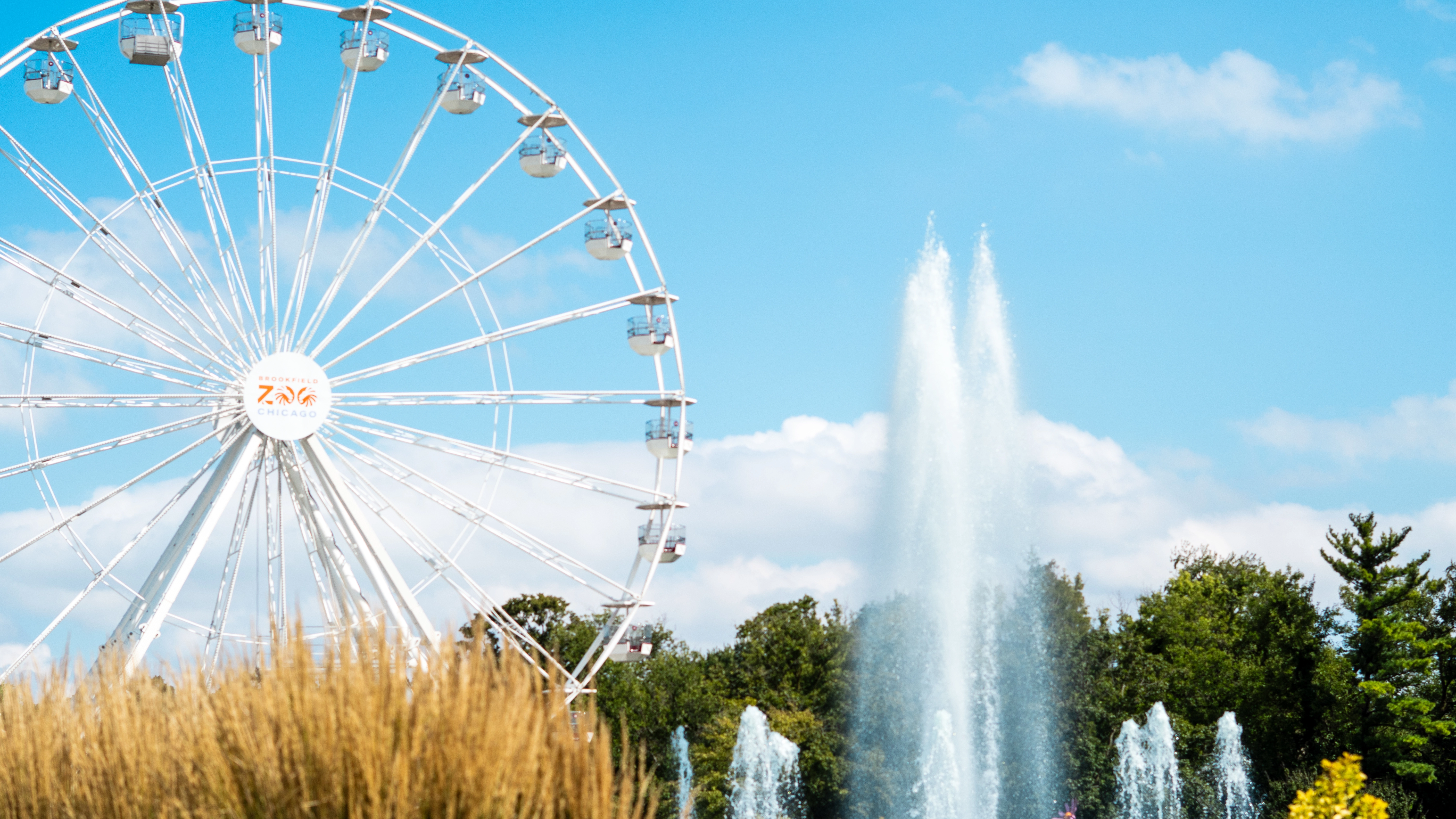 BROOKFIELD ZOO FERRIS WHEEL COMMERCIAL - Photo 4