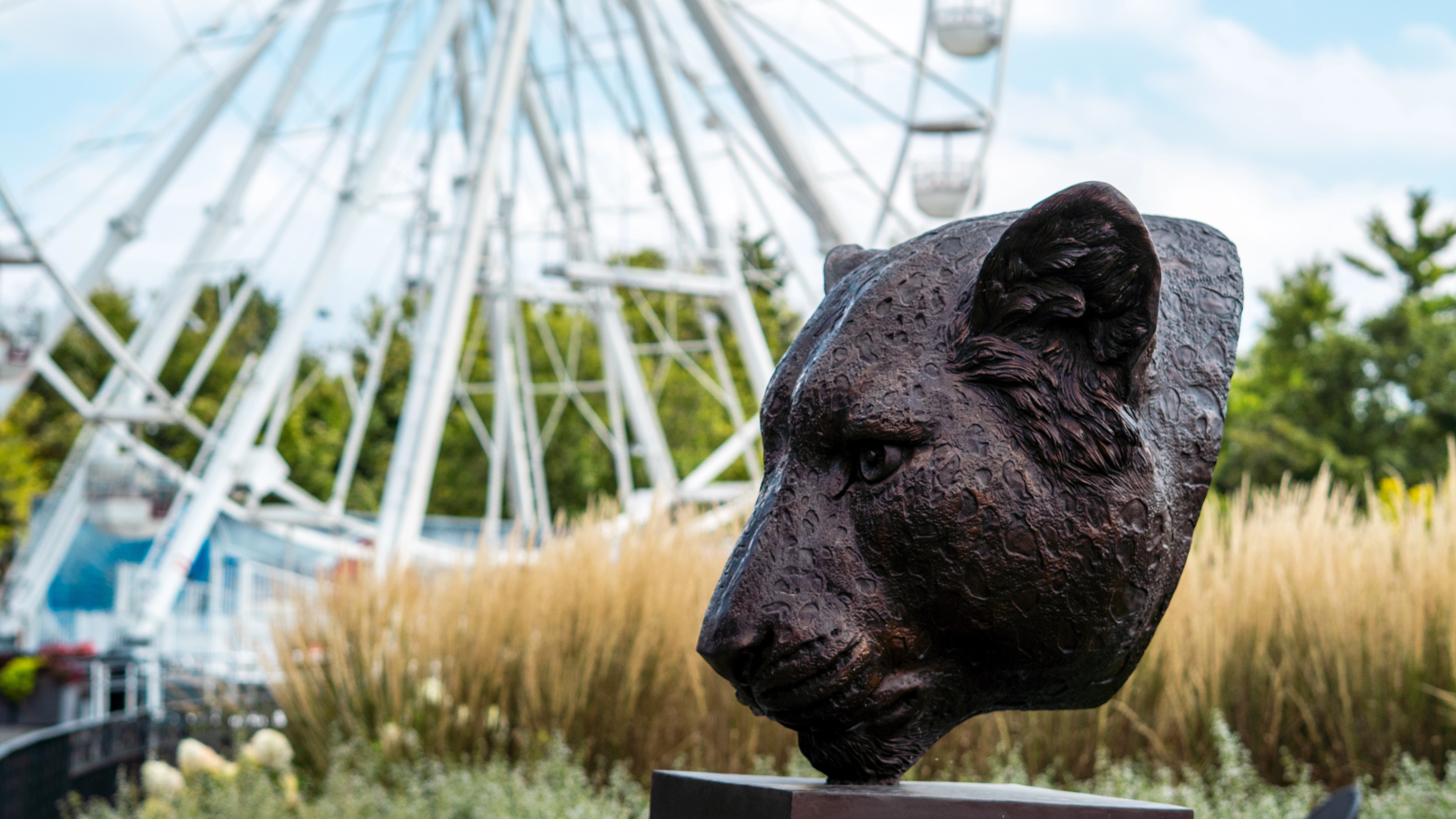 BROOKFIELD ZOO FERRIS WHEEL COMMERCIAL - Photo 5