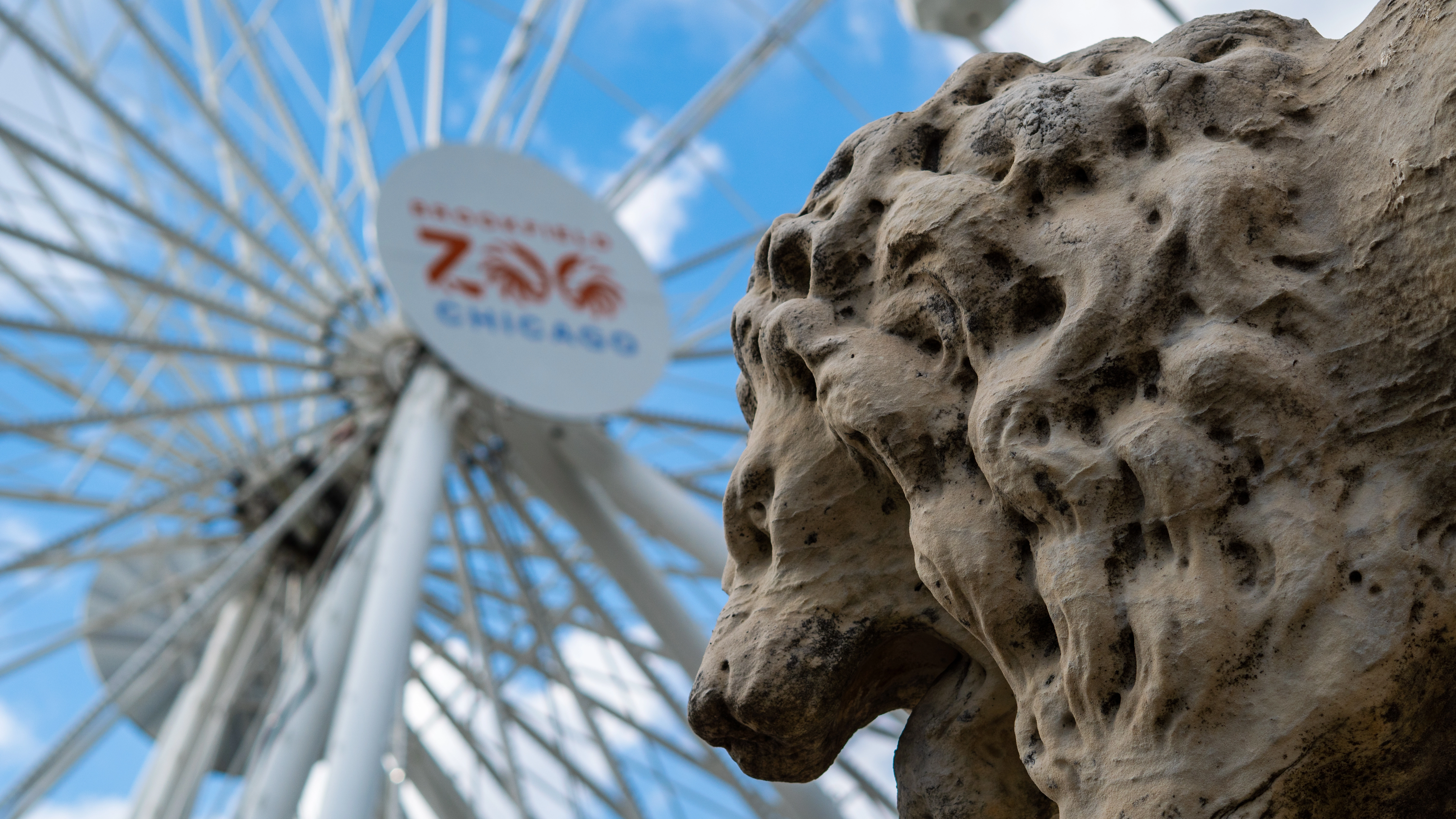 BROOKFIELD ZOO FERRIS WHEEL COMMERCIAL - Photo 6