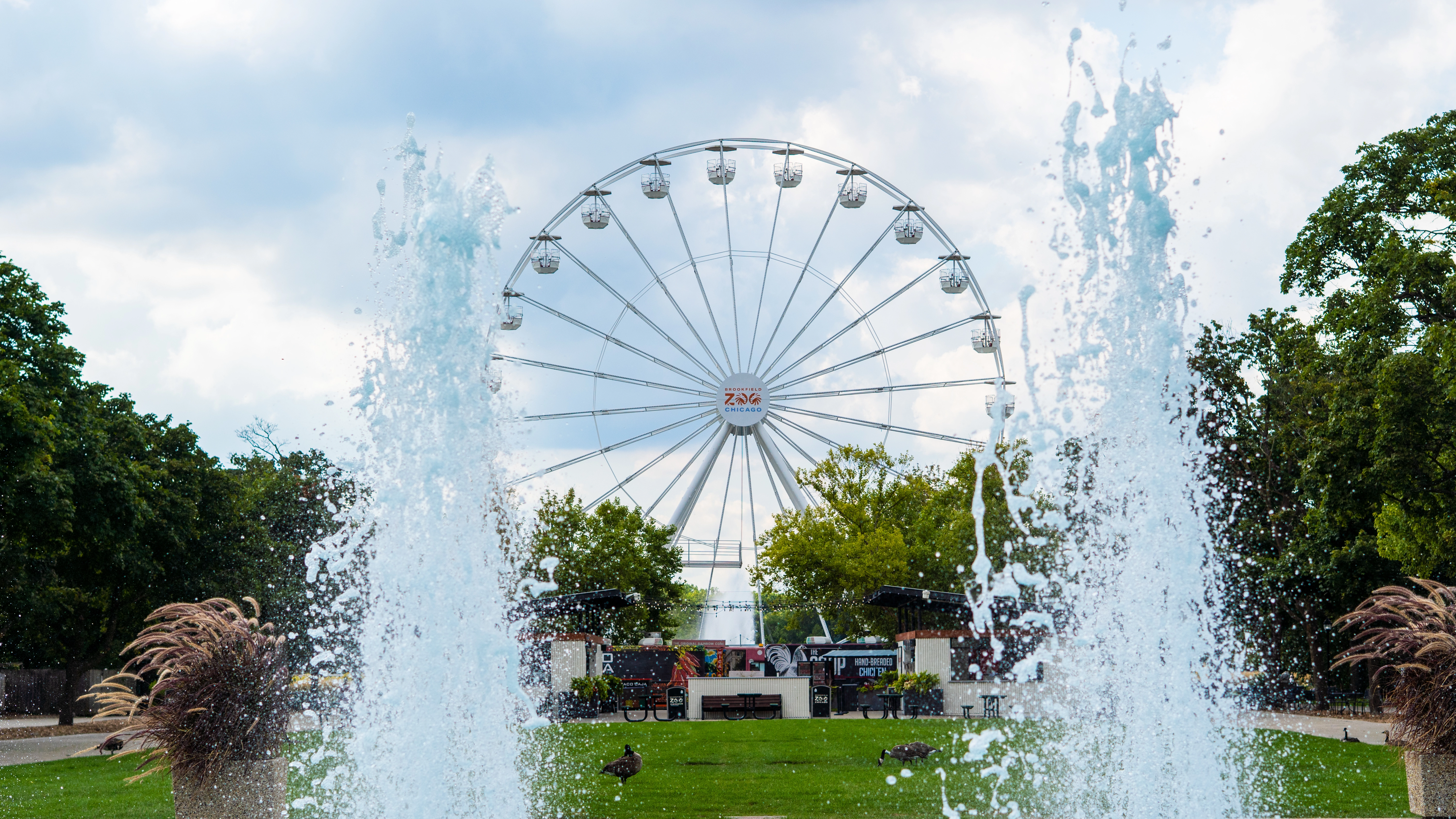 BROOKFIELD ZOO FERRIS WHEEL COMMERCIAL - Photo 7